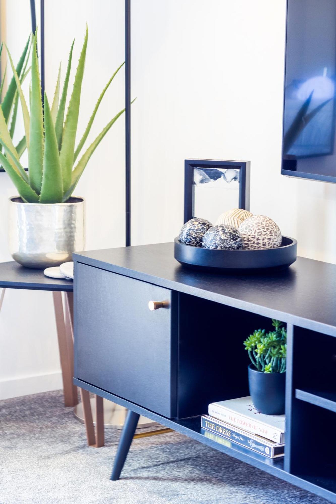 Central City Charm: Pet-Friendly Studio Christchurch Exterior foto
